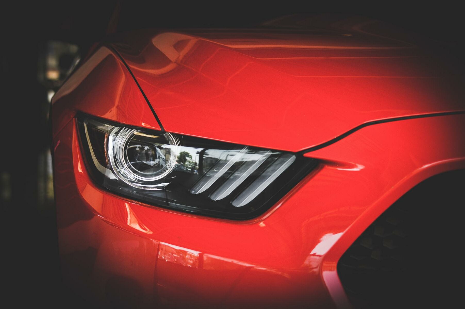 cropped-K1600_pexels-vraj-shah-638479.jpg